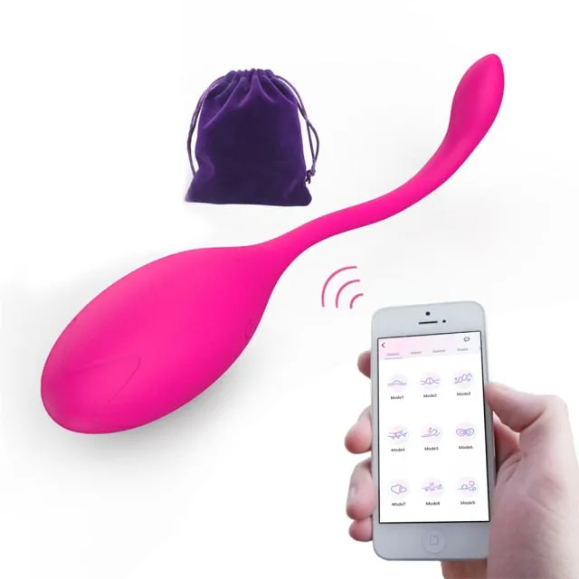 APP Vibrator Egg