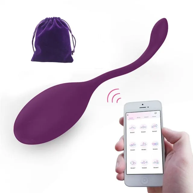 APP Vibrator Egg