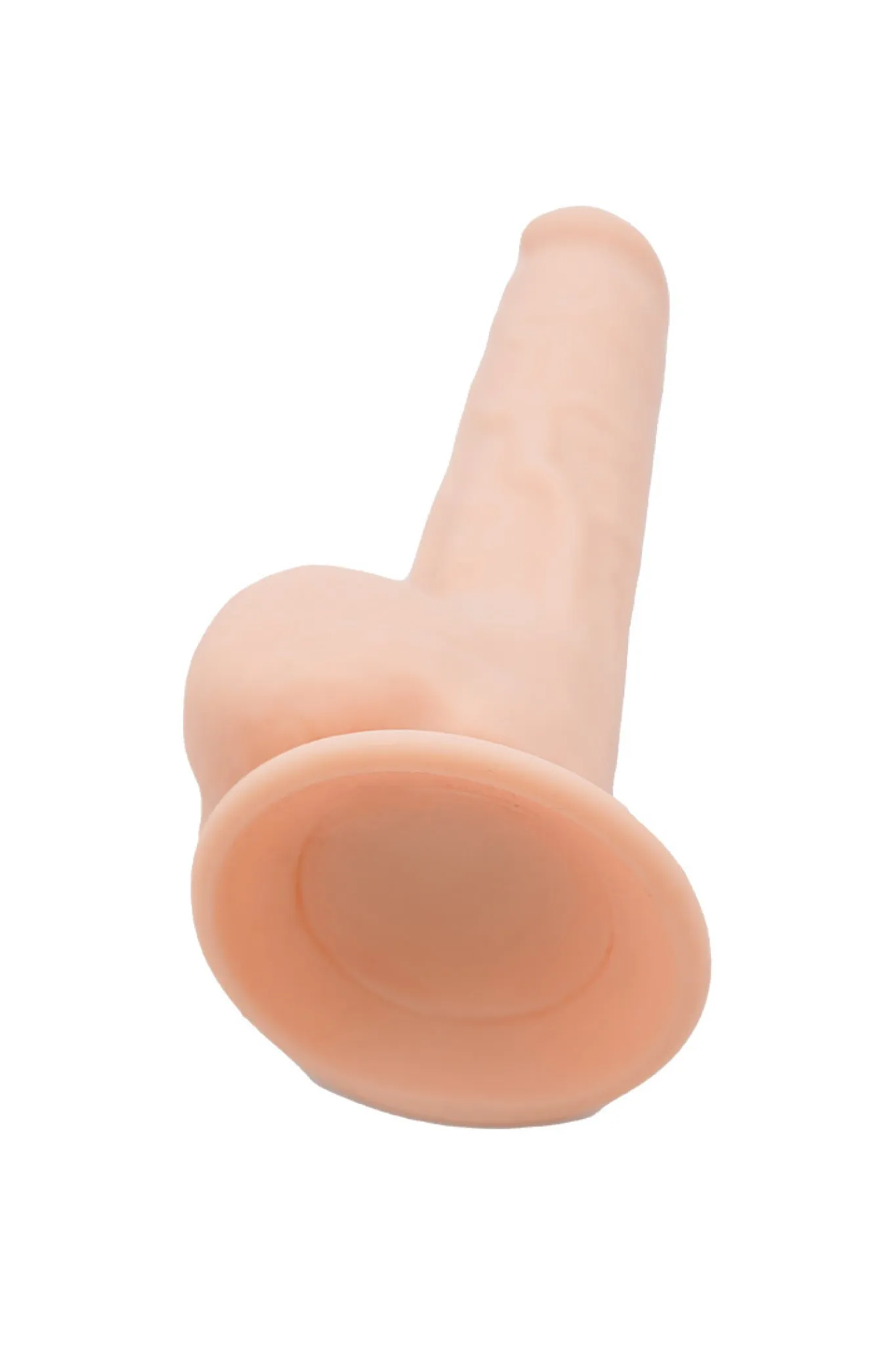 L'Attaccante - 24 cm