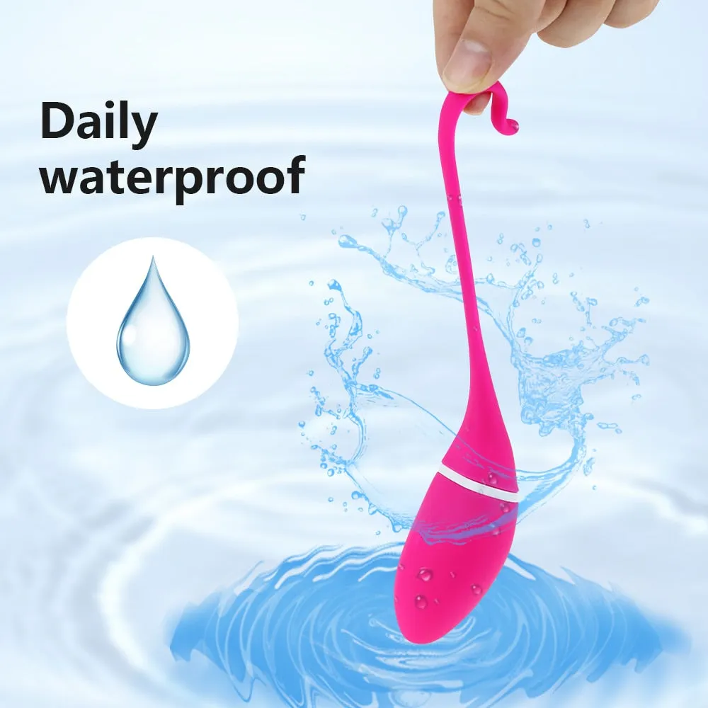 Long Distance APP Vibrator