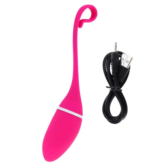 Long Distance APP Vibrator