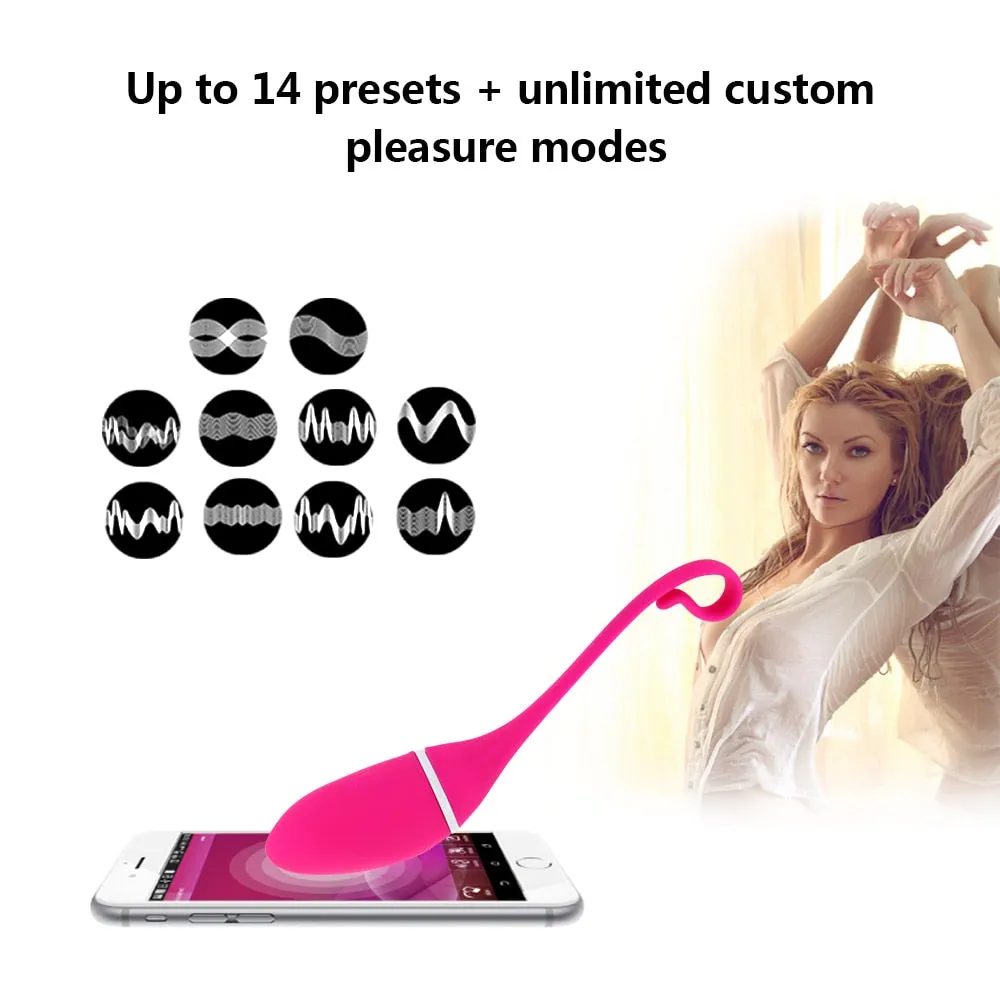 Long Distance APP Vibrator