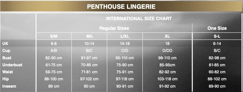 Penthouse - Bomb Squad Criss Cross Suspender Bodystocking Costume
